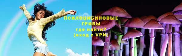 дживик Баксан