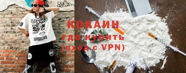 дживик Баксан