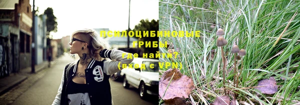 дживик Баксан
