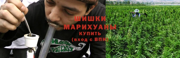 дживик Баксан
