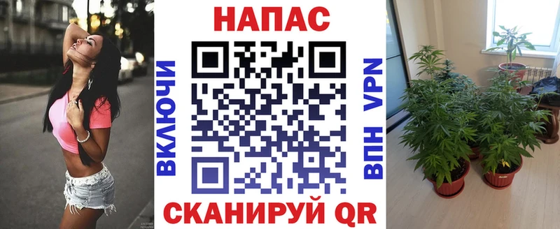 Марихуана конопля  Бахчисарай 